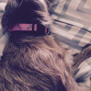 Meet your Posher, Chloe